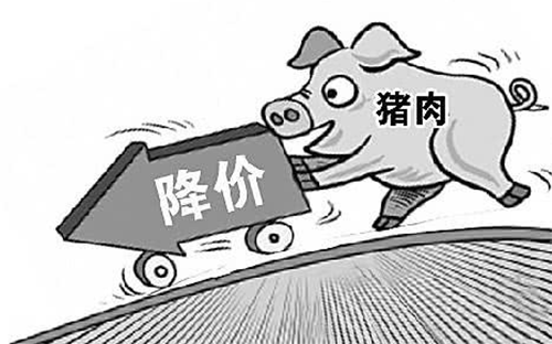 豬肉價格14.png